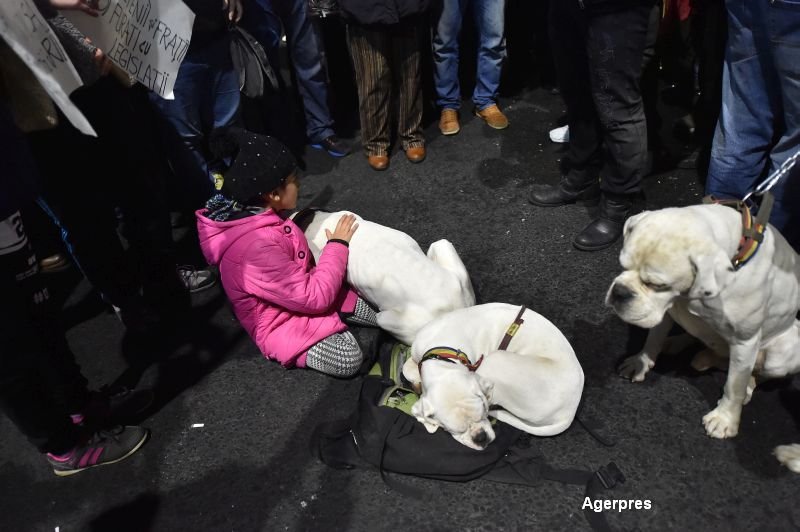 Proteste Bucuresti
