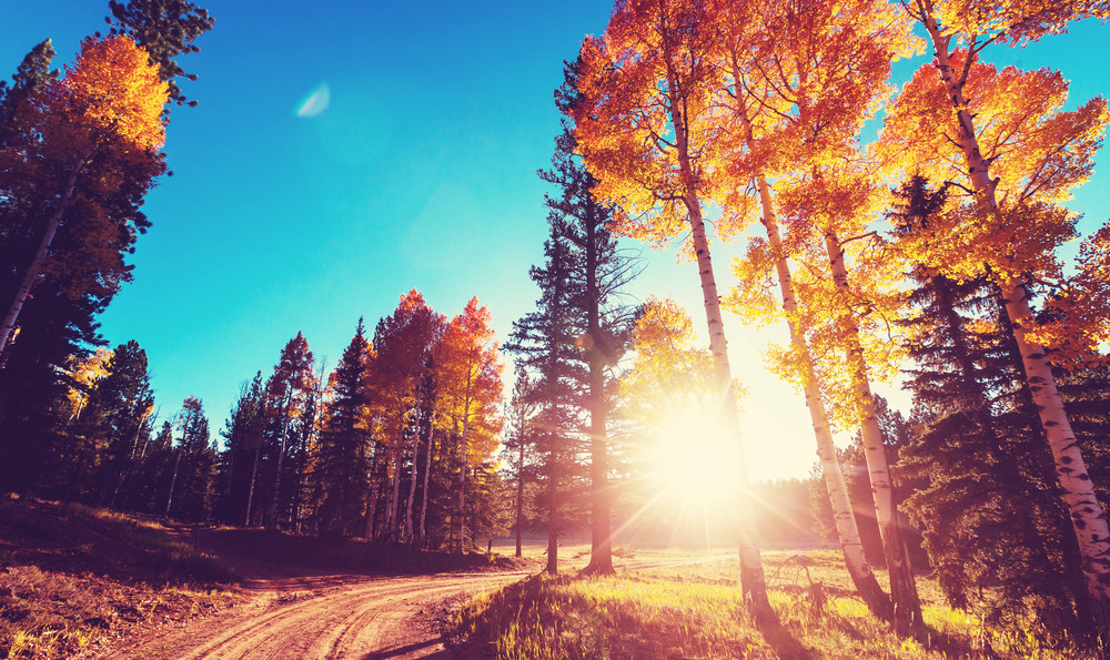 Vreme insorita, cu temperaturi de pana la 25 de grade Celsius, sambata. Ziua in care revin ploile si frigul