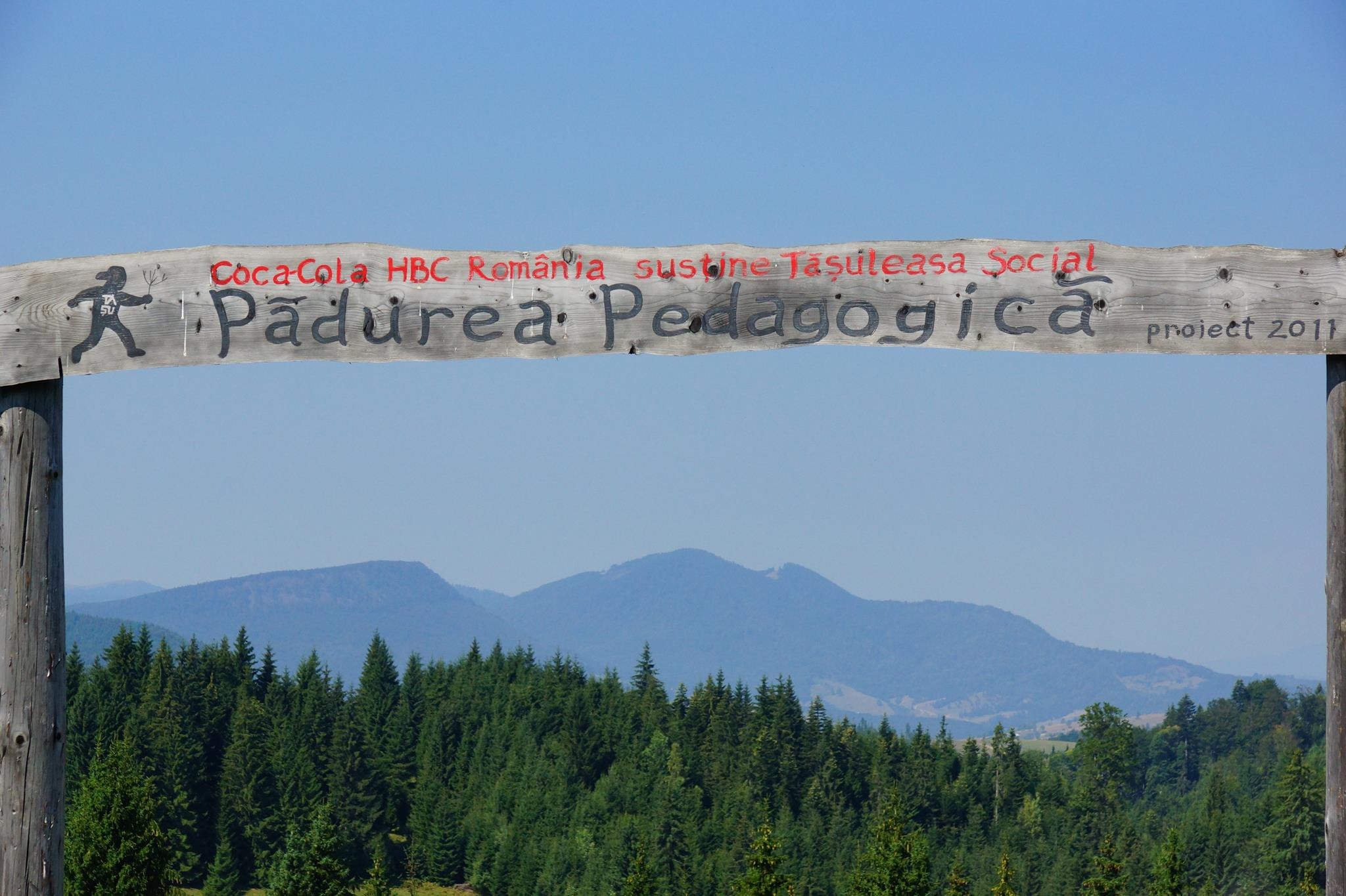 (P) Scoala din Romania unde orele de curs se tin intr-o padure. Cum arata "cel mai lung copac din lume"