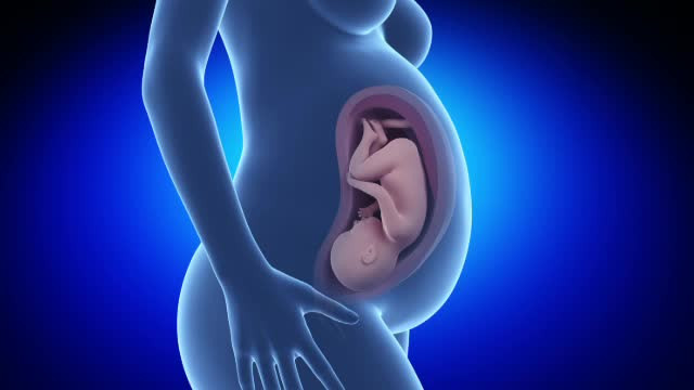 Premiera pentru Romania. 7 specialisti au operat cu succes, pe coloana vertebrala, un bebelus aflat inca in uterul mamei