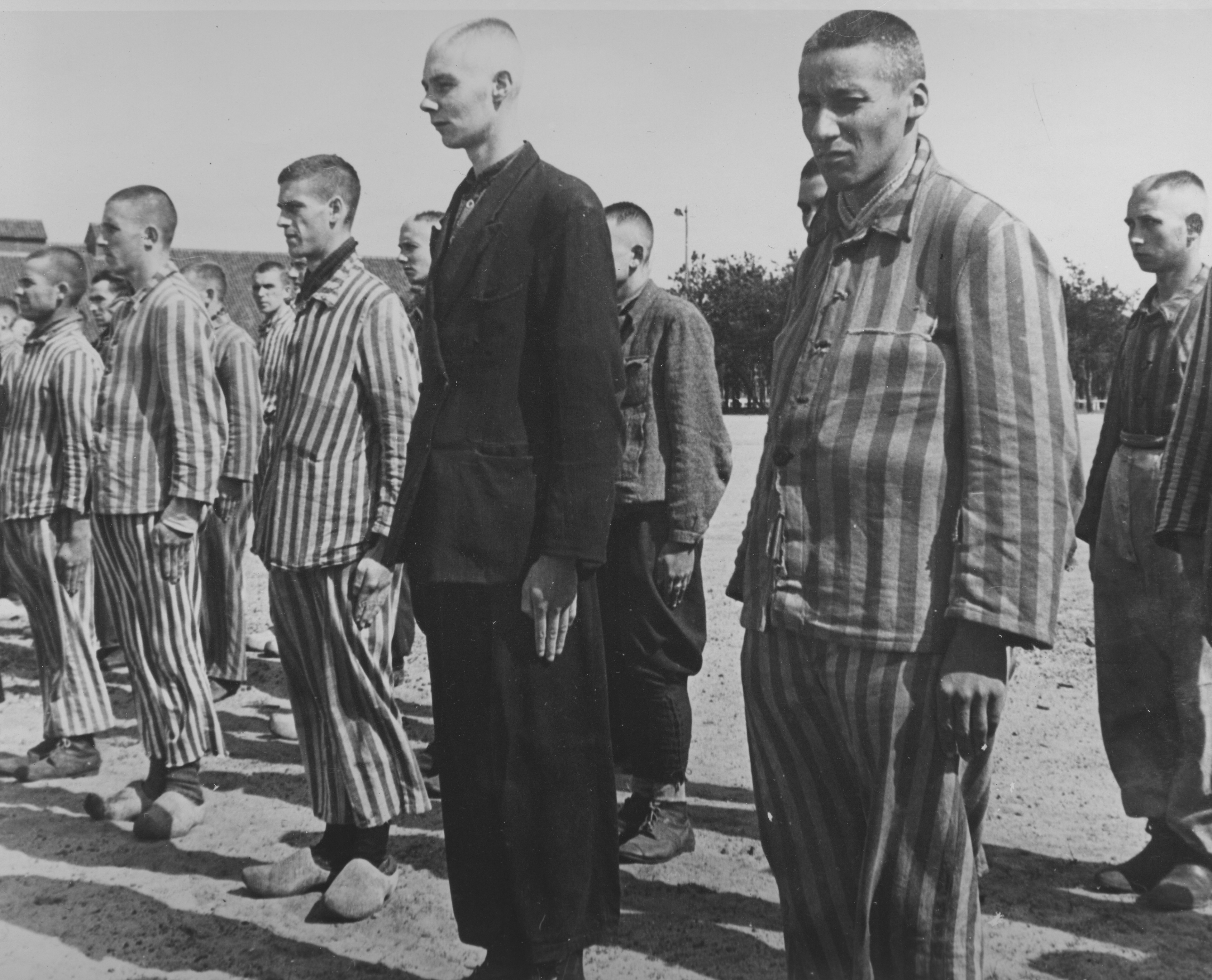 Rudele unui olandez capturat si ucis intr-un lagar nazist au primit scrisoarea lui de adio, dupa 70 de ani. Ce au descoperit