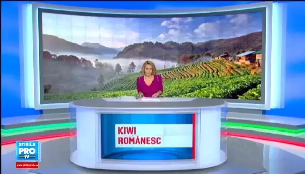 Kiwi de Transilvania. Fructul exotic da roade de ani de zile pe Dealul Feleacului si in Sebes