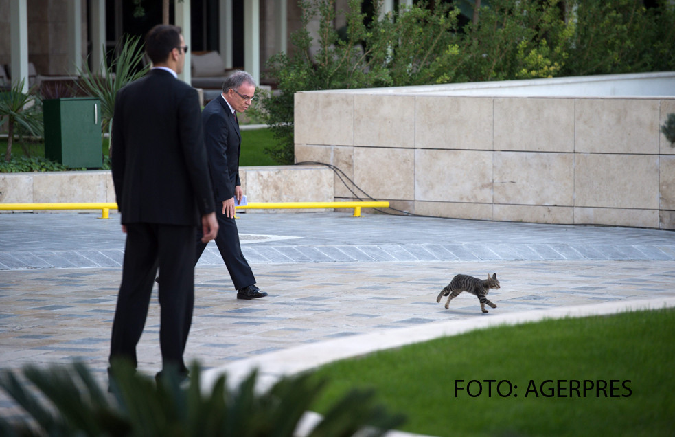 Intalnire neasteptata la summit-ul celor mai puternici oameni ai lumii. Cine a trecut de dispozitivul de securitate