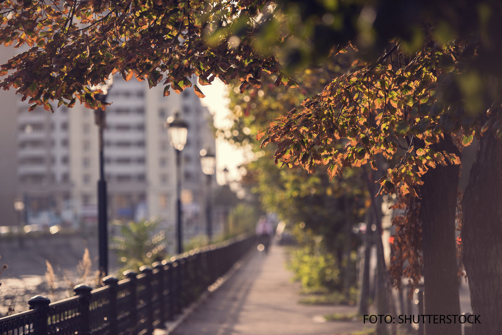 Vreme frumoasa, cu temperaturi pana la 22 de grade. Regiunile unde incep ploile