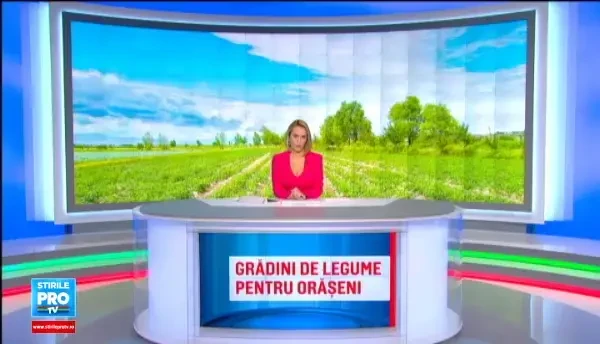 Un iesean le doneaza pamant, unelte si seminte celor care vor sa-si cultive propriile legume: Sunt doritori multi