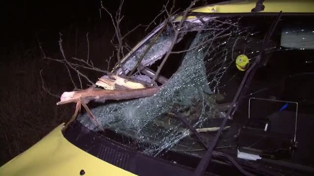 Tanara de 25 de ani, in stare grava la spital dupa ce iubitul ei a intrat cu masina intr-o caruta cu lemne