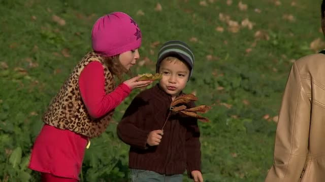 Cea mai calduroasa zi de 22 noiembrie din istoria Romaniei. Ce temperatura s-a inregistrat in sud-estul tarii