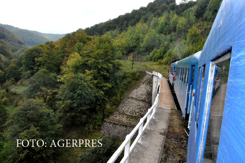 Trenurile nu au circulat cateva ore intre Brasov si Predeal, din cauza unui copac. Circulatia feroviara a fost reluata