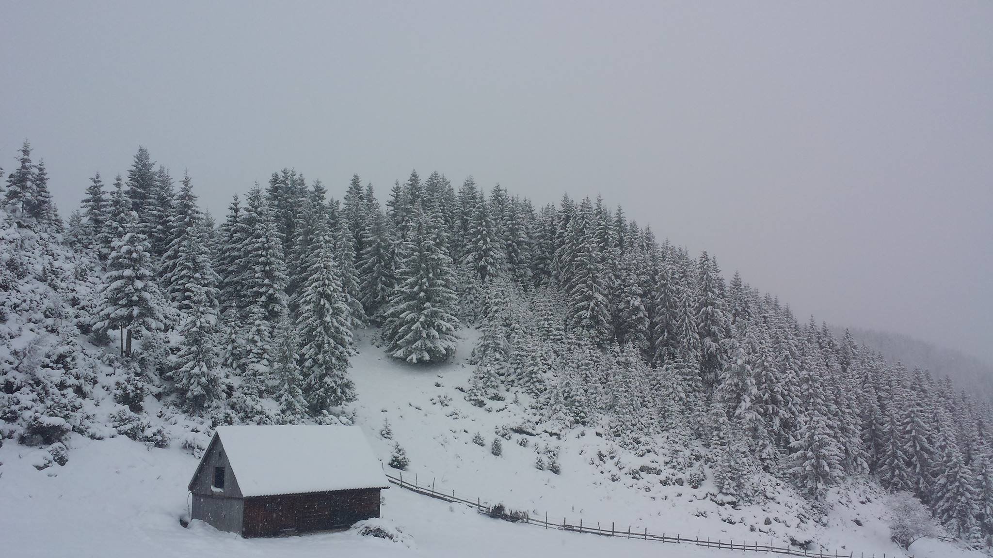 Ninsoare Fundata - Brasov