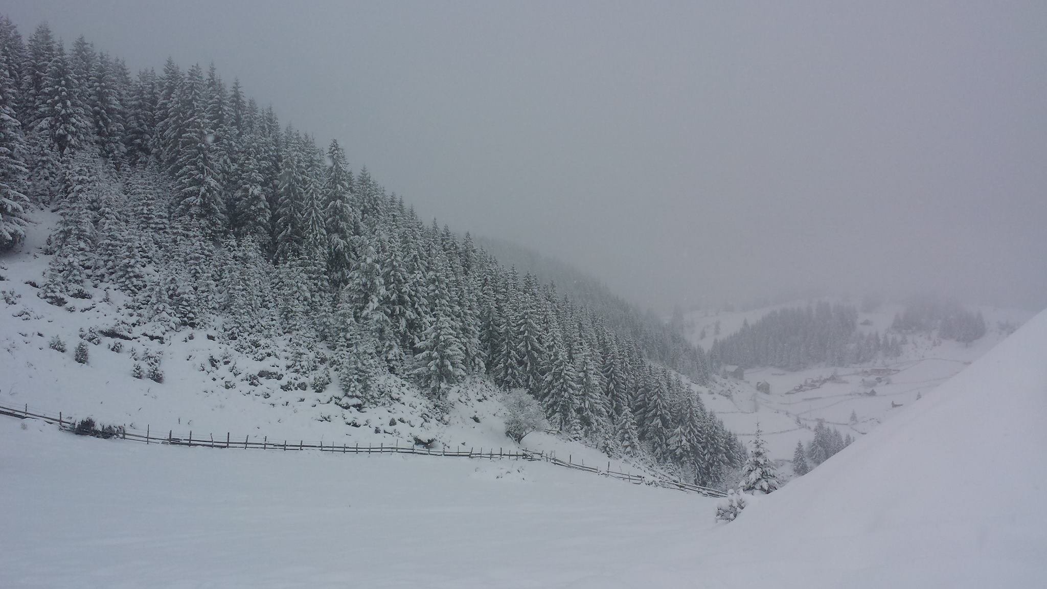 Ninsoare Fundata - Brasov