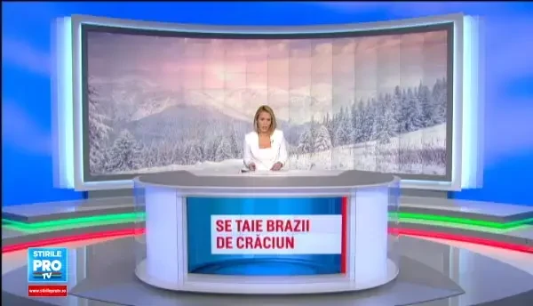 Cum poti sa cumperi un brad de Craciun fara sa te simti vinovat pentru taierea lui. Preturile din piata vor fi de 38 de lei