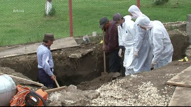 Descoperire macabra in Mures. Fragmente de oase, vechi de mai bine de 10 ani, gasite langa o fabrica