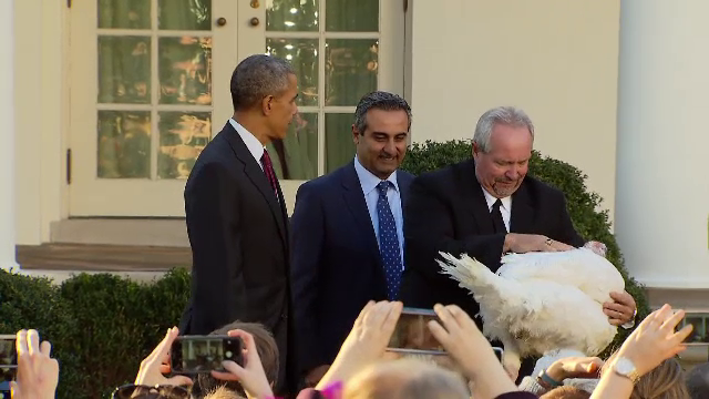 Ritualul bizar al americanilor, inainte de Ziua Recunostintei. Barack Obama a "gratiat" doi curcani de la taiere
