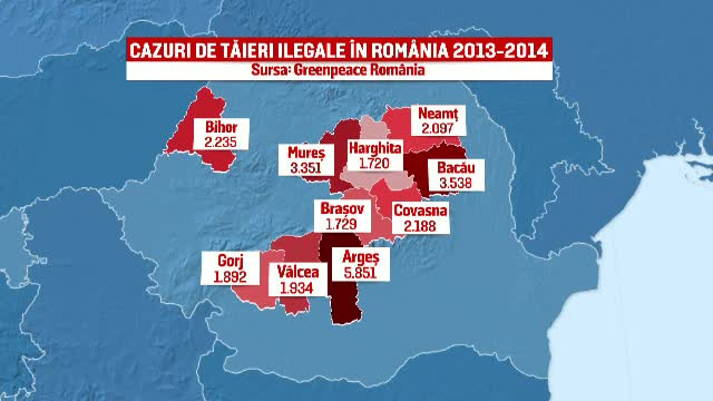 Comisia Europeana pune presiune pe Romania sa-si salveze padurile. Anual dispar 8,8 milioane de metri cubi de lemn