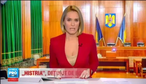 Calculele unei spagi recunoscute de fratii Becali si judecatoarea Terceanu. Cu cat li s-ar putea reduce pedepsele