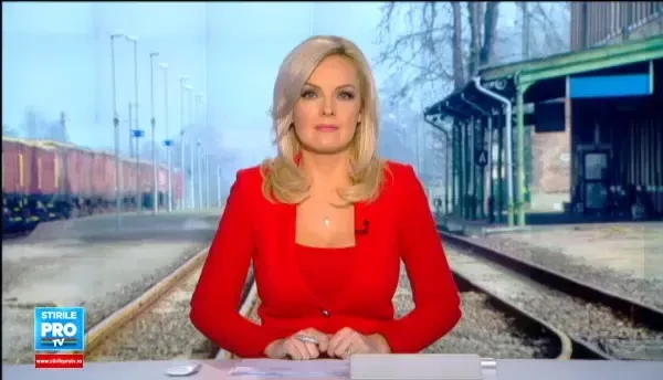 Ce se va intampla peste iarna cu palmierii din Mamaia. Solutia care a costat primaria doar 9 milioane de euro