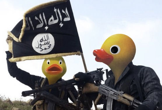 Internetul raspunde terorismului cu umor. Imaginile in care jihadistii Statului Islamic au capete de rate