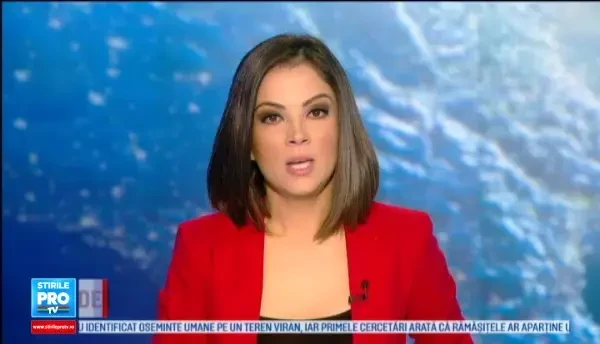 Creatiile lui Brancusi, sursa de inspiratie pentru artisti. Cum arata replica din lemn pe care un medic a expus-o in curte