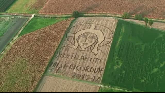 Talentul inedit al unui italian. A desenat cu un plug imaginea lui Iisus pe o suprafata de 24.000 de metri patrati