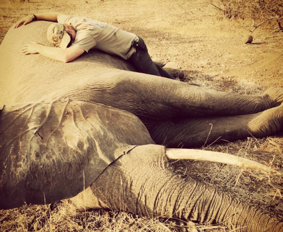 Printul Harry, imbratisand un elefant in Africa de Sud. Imaginile emotionante fac inconjurul lumii