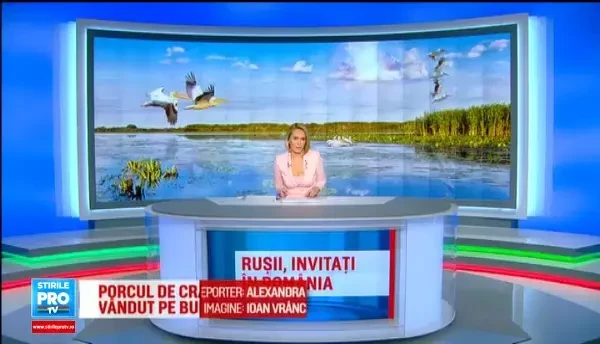 Ce castiga Romania din conflictul dintre Turcia si Rusia. Planuri pentru cei 6 milioane de potentiali turisti all-inclusive
