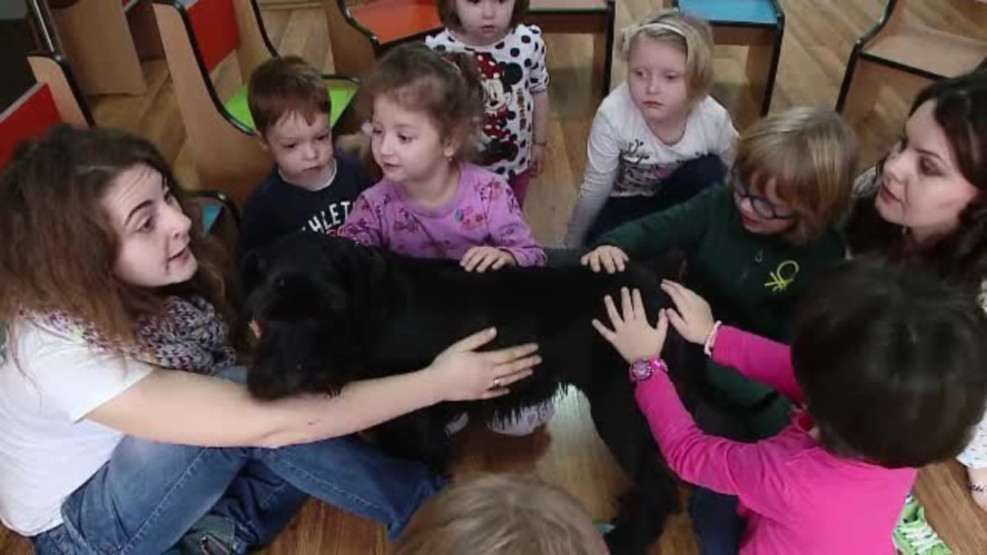 Gradinita unde copiii invata de la animalele de companie. "Altfel se exprima, altfel reactioneaza"