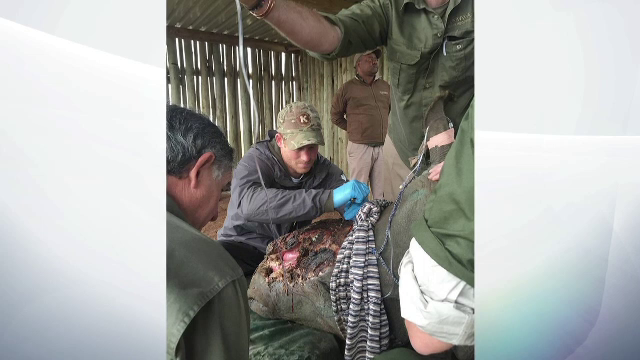 Printul Harry, vizita memorabila in Africa de Sud. Imaginile emotionante publicate pe retelele de socializare