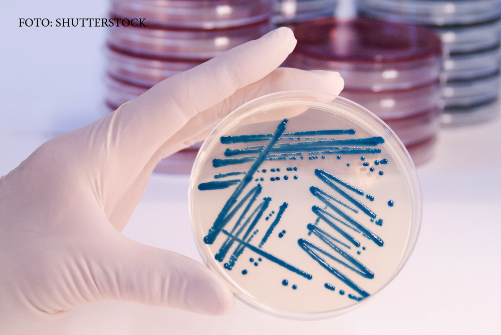 "Cea mai grava amenintare" a devenit realitate. Superbacteria rezistenta la orice antibiotic a facut prima victima