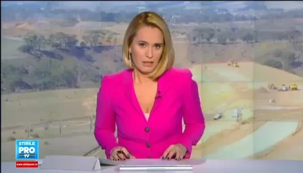 Cel mai scump desen de pe harta Romaniei. Raportul care arata cum s-au dus pe apa sambetei 32 de milioane de euro in noua ani