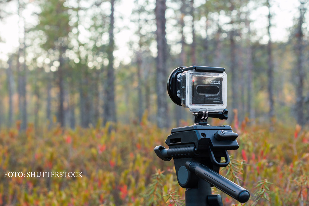 iLikeIT. Imaginile miscate sunt istorie. Cele mai bune sisteme de stabilizare, testate pe role