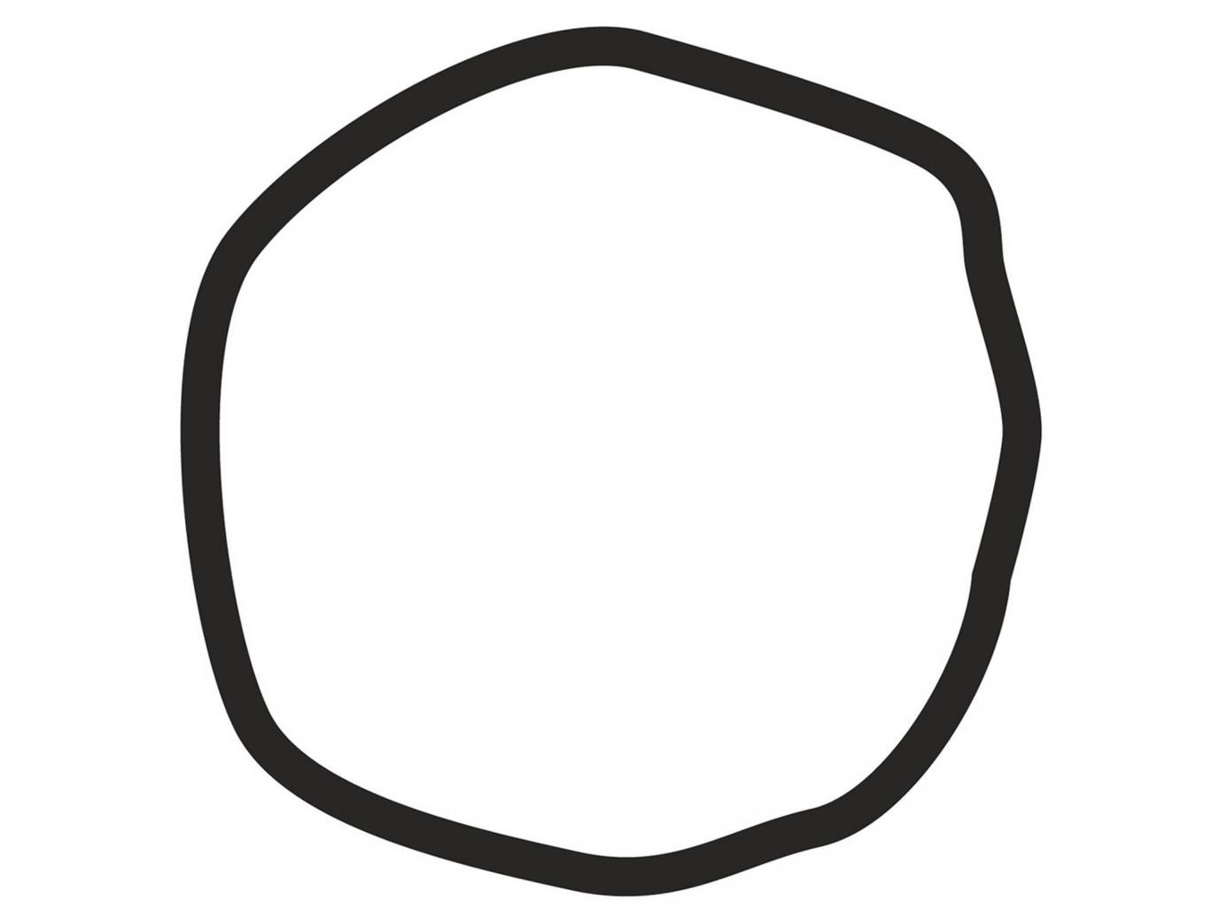 In imagine este sau nu un cerc? Testul psihologic realizat de cercetatorii americani care arata ce optiuni politice ai