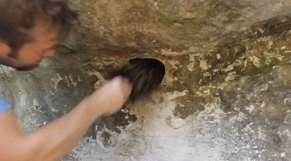 Imagini infricosatoare. Ce se intampla in momentul in care un barbat baga mana intr-o gaura plina cu mii de paianjeni. VIDEO