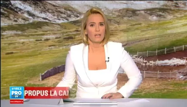 Parlamentul a stabilit la cati caini au dreptul ciobanii. Legea 3, 2, 1 dulai, criticata de ministrul Agriculturii