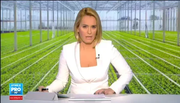 Arata ca legume in miniatura, dar au de 40 de ori mai multi nutrienti. Cati bani se castiga din afacerea cu microplante