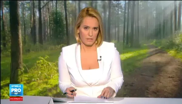 5% din veniturile celor care vand lemne se vor intoarce in bugetul local. Ce prevede legea votata marti de senatori