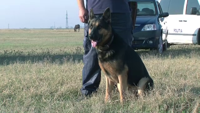 Paznic din Constanta ucis de doi barbati pentru un acumulator. Unde i-au ascuns cadavrul