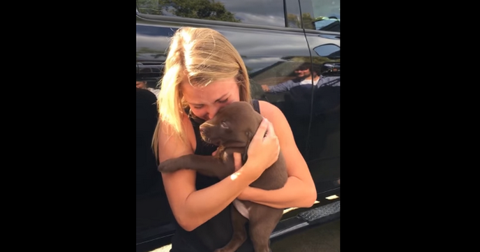 A crezut ca a primit cadou un catelus adorabil de la iubit, insa a izbucnit in lacrimi cand a descoperit adevarul! Ce avea cainele la gat