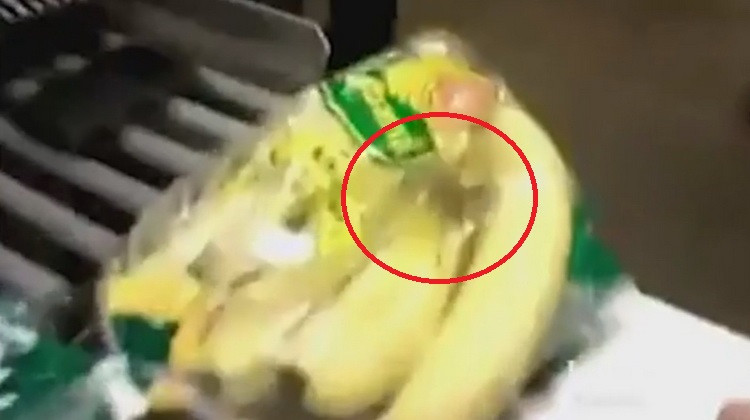 A vrut sa cumpere niste banane de la supermarket, dar s-a ingrozit cand a vazut punga. Ce a descoperit inauntru