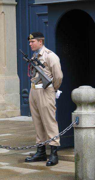 Luxemburg isi dubleaza prezenta militara in Mali: Mai trimite un soldat