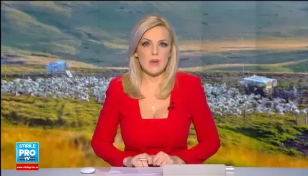 Lactatele s-ar putea scumpi. Ciobanii din toata tara, suparati pentru ca nu mai au voie sa-si lase oile pe pasune