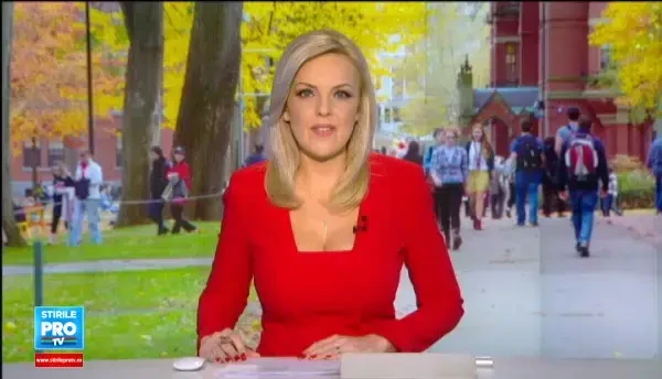 Micile afaceri ale unor studenti plini de idei. Masini inchiriate in 5 minute si aplicatia care anunta reduceri in cafenele