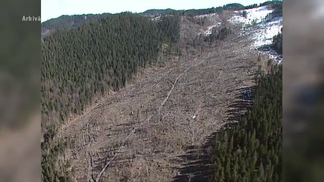 Defrisarile ilegale vor deveni o amenintare la securitatea nationala. Legea urmeaza sa fie promulgata de presedinte