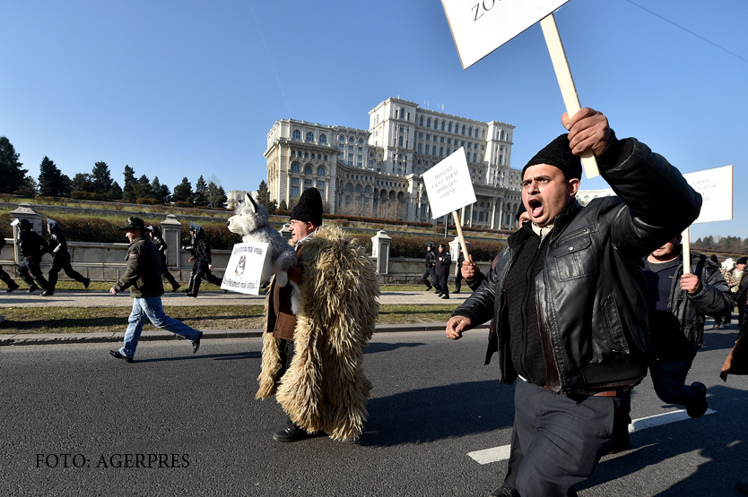 protest al ciobanilor la Parlament