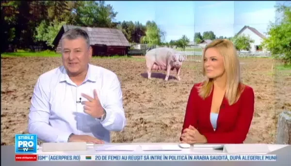 Secretul nesanatos al Corinei. Are 500 de kilograme, nu va prinde ziua de Craciun, dar toti cei care o cunosc o lauda