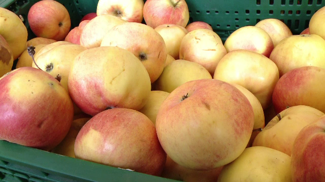 Planul Guvernului de a-i hrani mai bine pe elevi cu 37 de bani pe zi. Ce ar putea primi fiecare dintre ei din suma asta