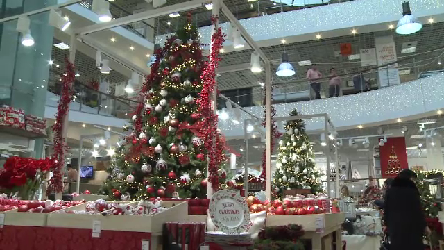 Bradul de Craciun al romanilor pentru care banii nu sunt o problema. Pentru ce platesc pana la 2000 de lei