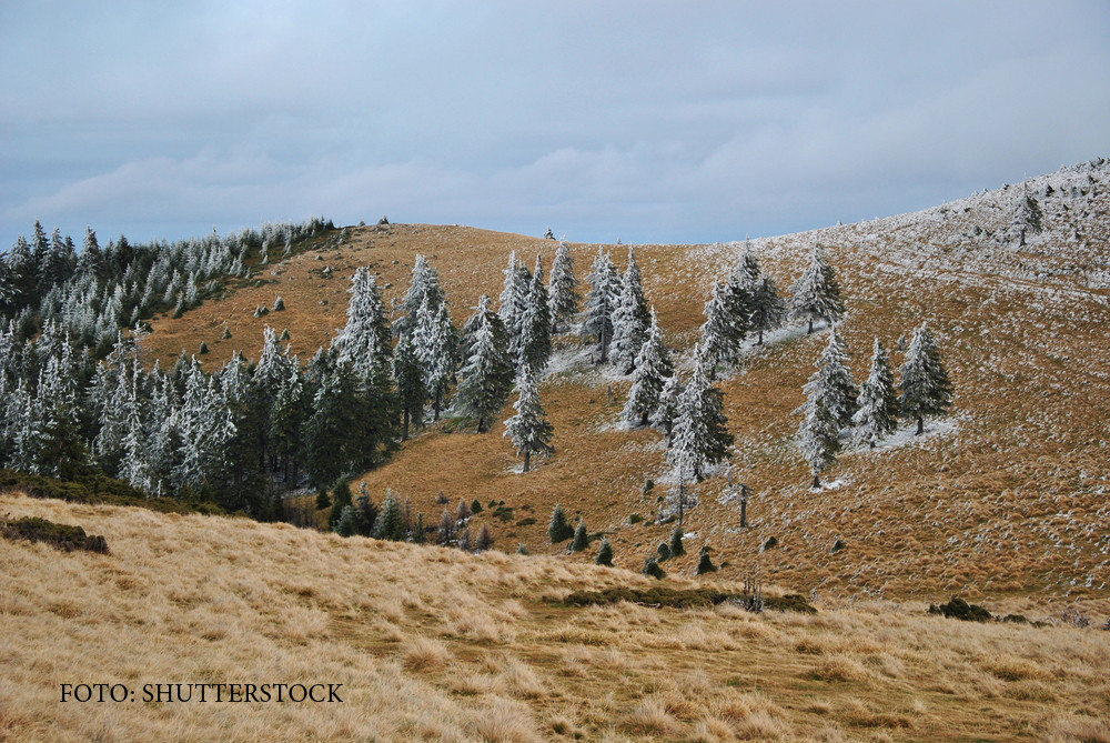 Vreme calda, cu temperaturi pana la 16 grade. Ceata si burnita, singurele neplaceri in urmatoarele zile