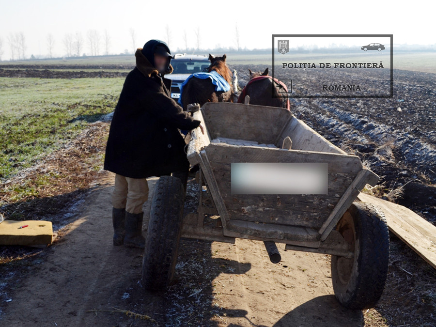 Ce au gasit politistii de frontiera in caruta unui batran din Iasi. "A venit un om la mine cand eram la arat"