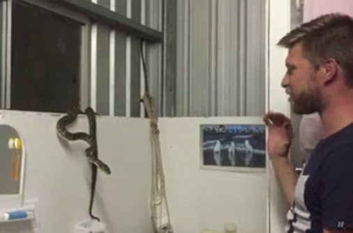 Confruntarea dintre un barbat si un sarpe infometat, in casa unei familii speriate. Cum s-a terminat totul. VIDEO