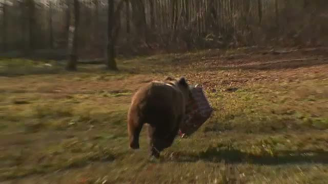 Animalele de la Gradina Zoologica din Ploiesti au primit cadouri de la "ajutoarele Mosului". Copiii, fascinati de cei 3 reni